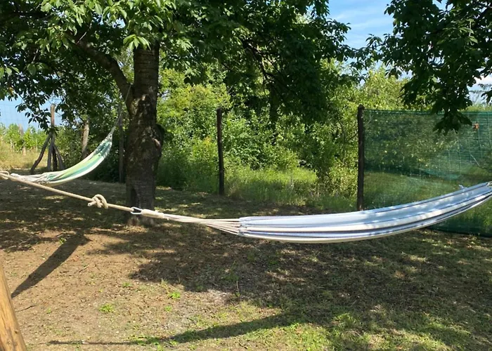 דירה Eged אגר